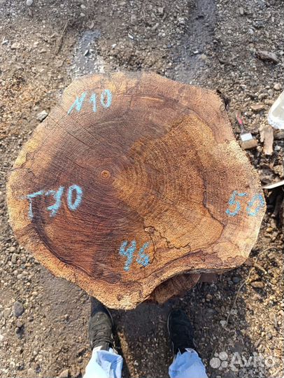 Экслюзивные слэбы /спилы американского ореха