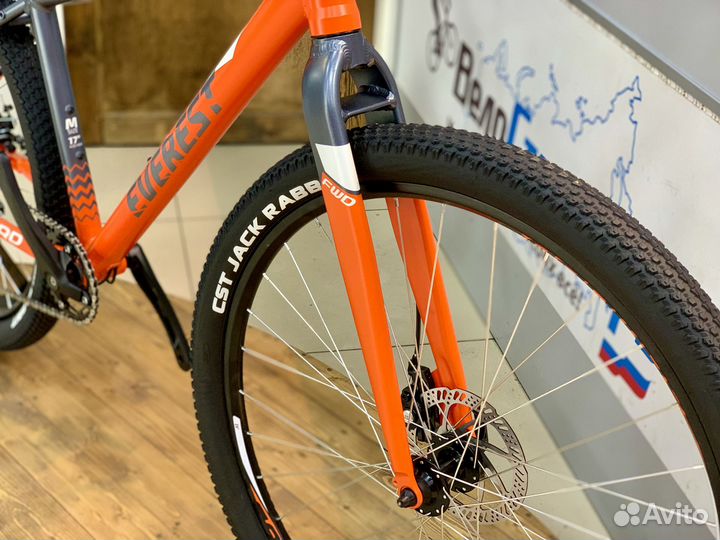 Forward Everest 29 D (2022)