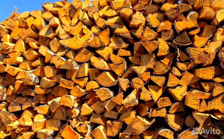 Дрова в область