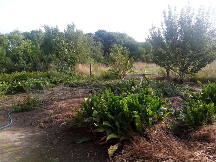 Дом 60 м² на участке 4,5 сот.