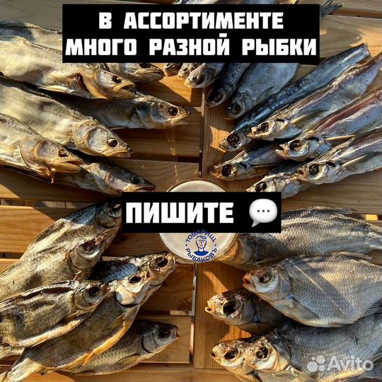 Воблы из Астрахани