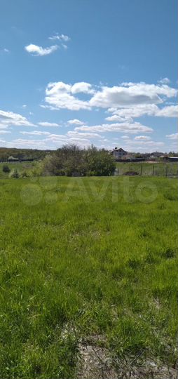 Участок 15 сот. (ИЖС)