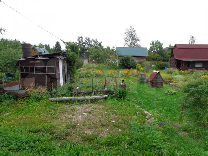Участок 12 сот. (СНТ, ДНП)