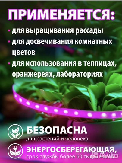 Фитолампа для растений