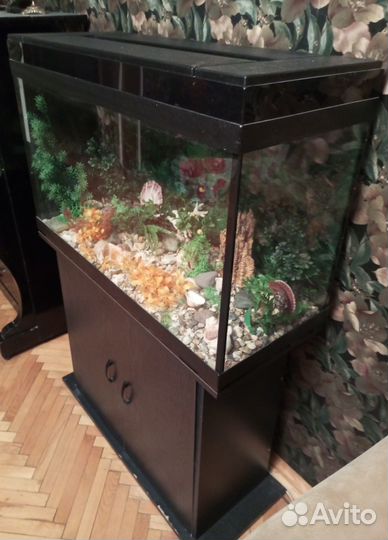 Аквариум с тумбой бу