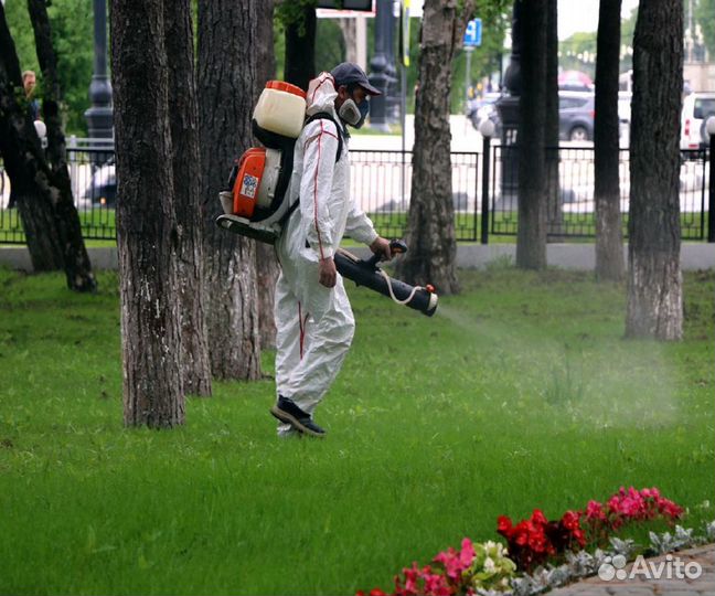 Уничтожение клопов, мышей, комаров, тараканов