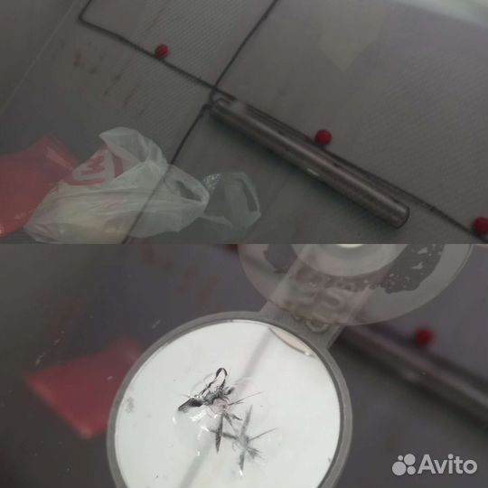 Ремонт автостёкол