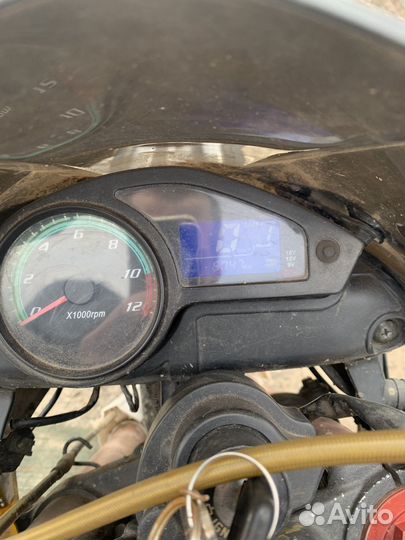 Ирбис xr 250