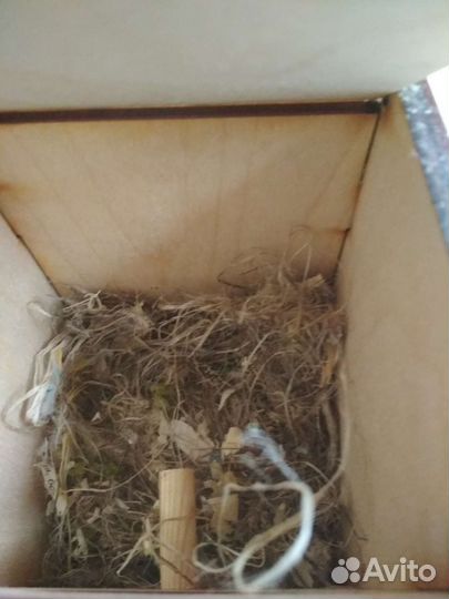 Домик для птиц