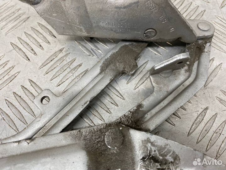 Б/У петля капота правый Volkswagen Touareg 7L6 AXQ