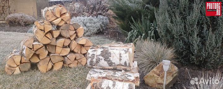 Дрова колотые из березы