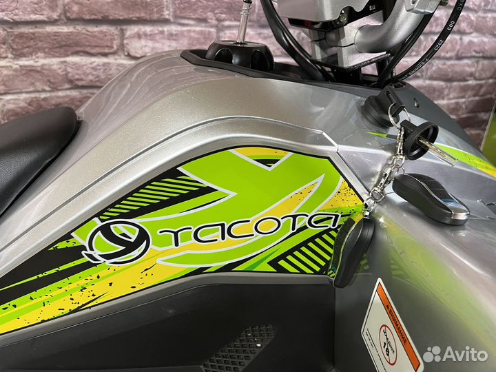 Квадроцикл Yacota Typhoon 250 кубов (2023г)