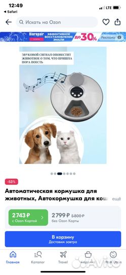 Автокормушка для собак