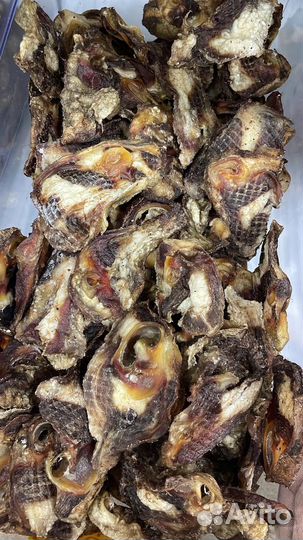 Мясо для собак и кошек