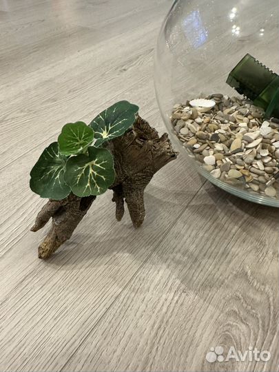 Аквариум круглый