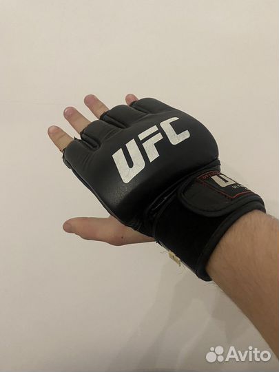 UFC мма