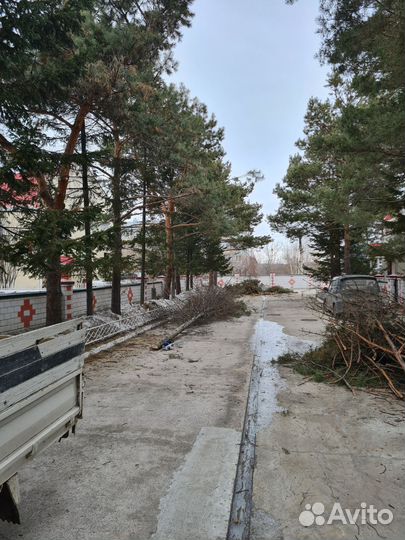 Спил деревьев частями, спил веток, кронирование