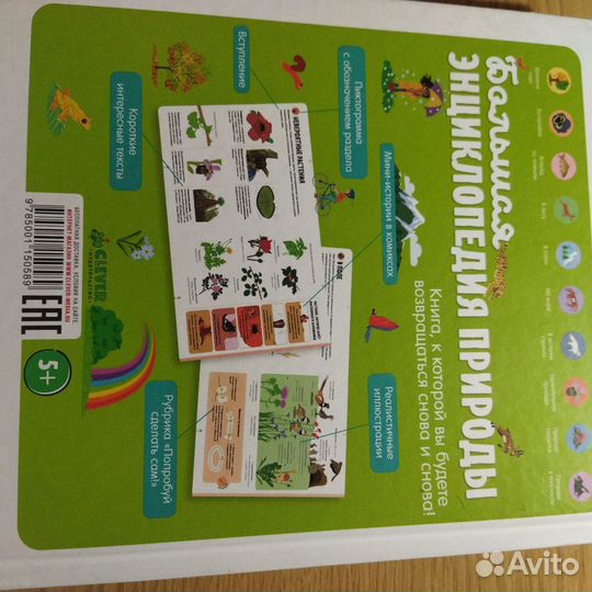 Детская энциклопедия