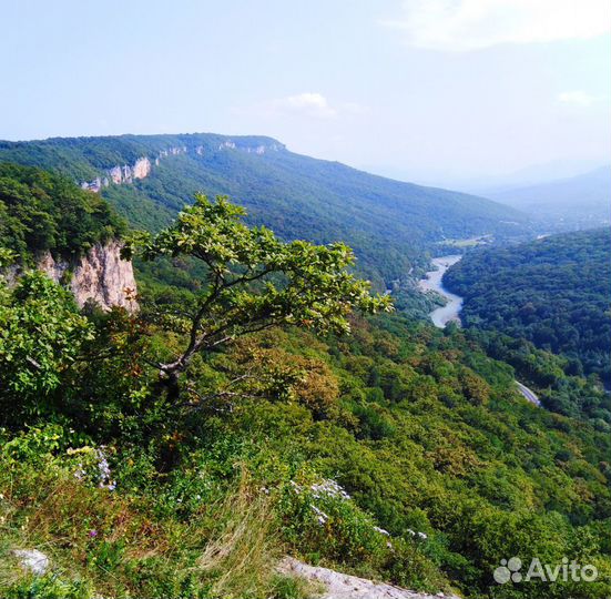 Туры на Кавказ