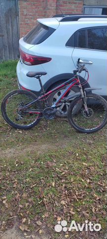 Продам щенка немецкого цверг шпица, девочка