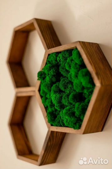 Полки соты со мхом