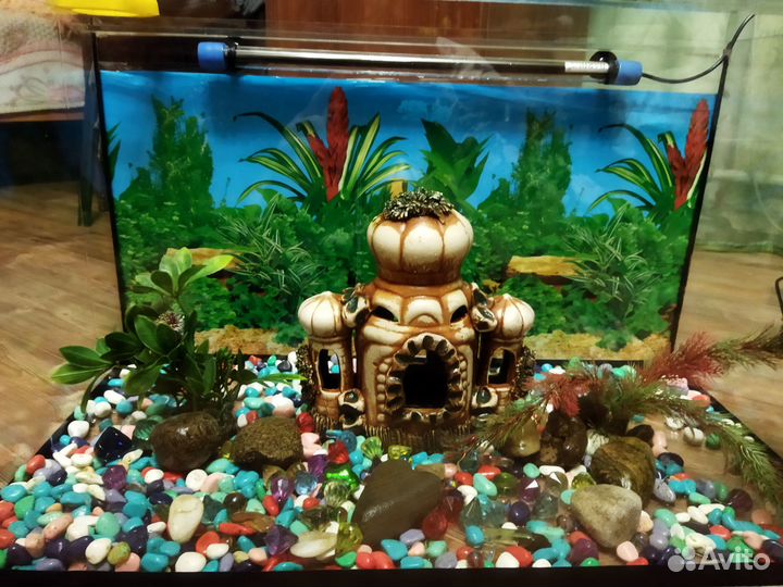Аквариум