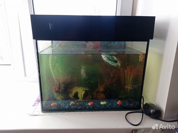 Аквариум