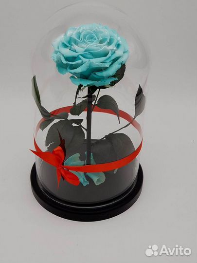 Роза в колбе