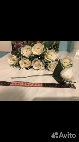 Цена за всё