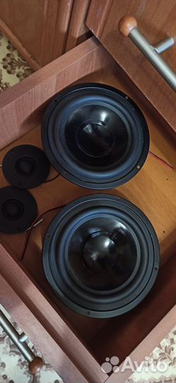 Динамики от колонок Sven