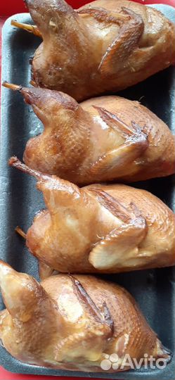 Мясо перепела