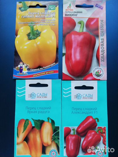 Рассада перца и баклажан