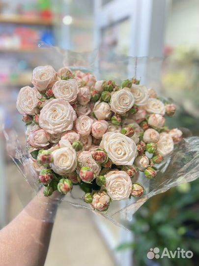 Кустовые розы:Свежее поступление