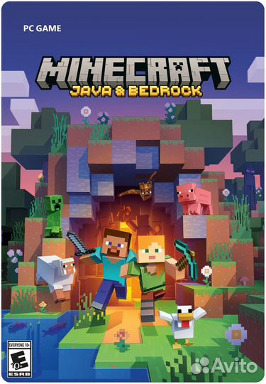 PC/xbox Minecraft Java + Bedrock Edition