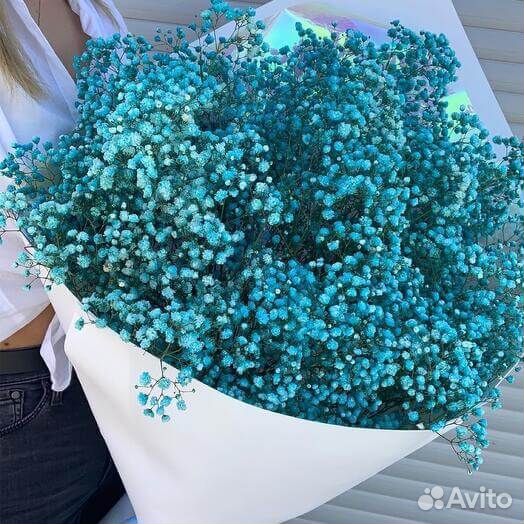 Букет из синих гипсофил 37 шт