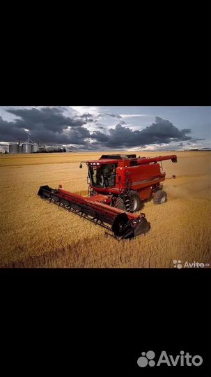 Уборка урожая (зерновые,бобовые)