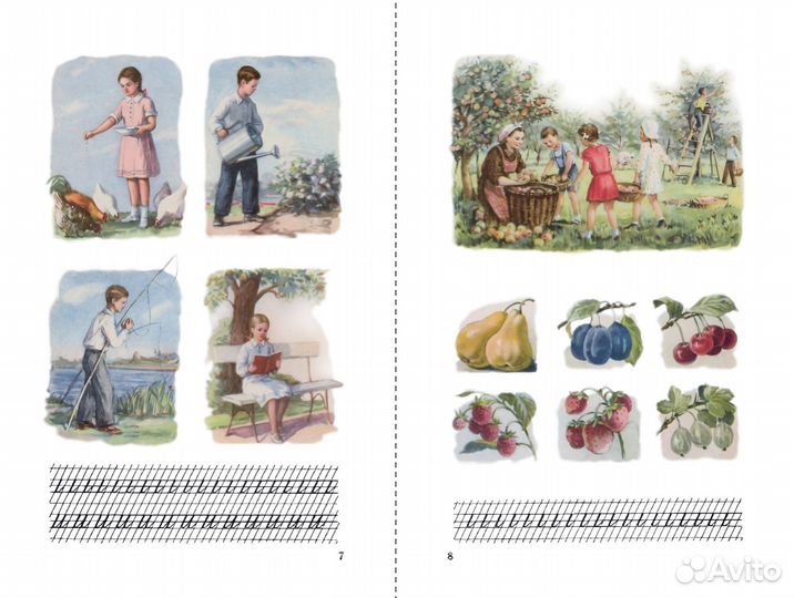 Букварь новый Редозубов 1955 год