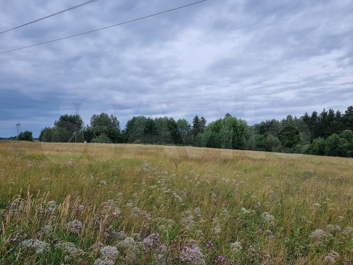 Участок 10 га (СНТ, ДНП)