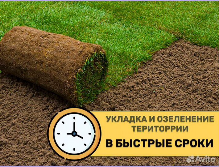 Рулонный газон укладка спортивный