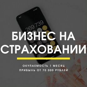 Бизнес на страховании с большим доходом