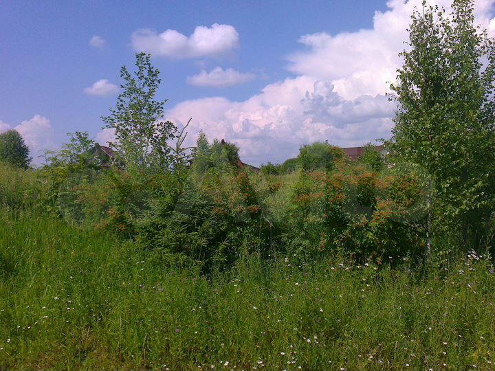 Участок 24 сот. (ИЖС)