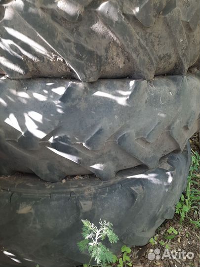 Резина на мтз 82 задняя