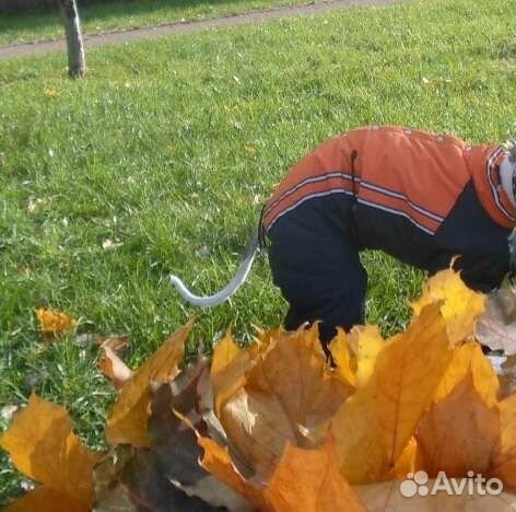 Зимний комбинезон для уиппета