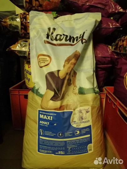 Карми, Гранд дог опт