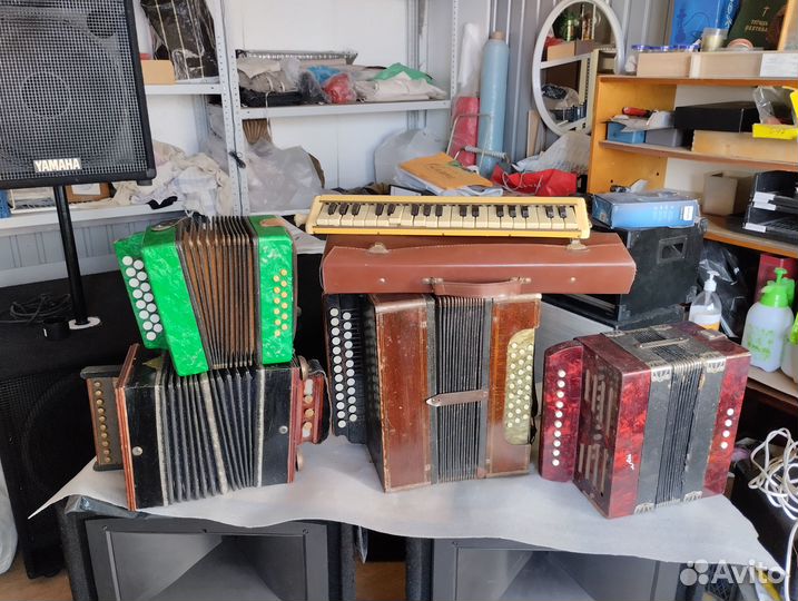 Гармонь СССР