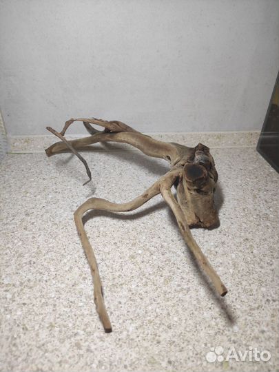 Коряги для аквариума