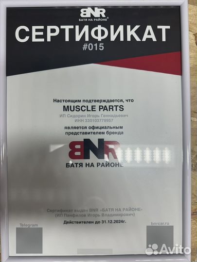 LED лампы вместо ксенона D1 / D1S/R BNR D-Series L