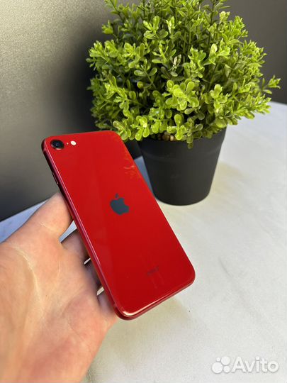 iPhone SE (2022), 64 ГБ