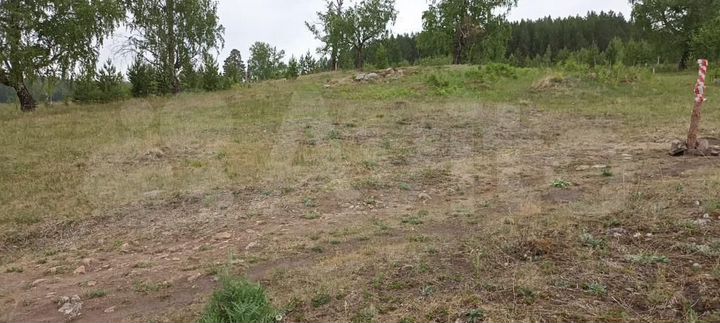 Участок 12 сот. (ИЖС)