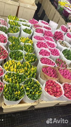 Тюльпаны Букет тюльпанов Цветы с доставкой